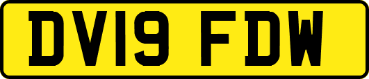 DV19FDW