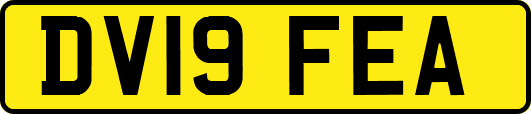 DV19FEA