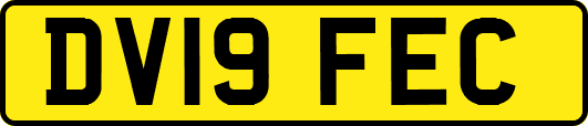 DV19FEC