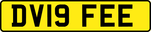 DV19FEE