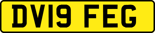 DV19FEG