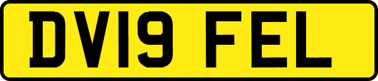 DV19FEL