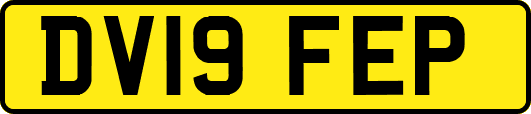 DV19FEP