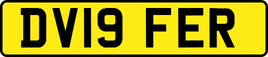 DV19FER