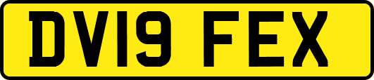 DV19FEX