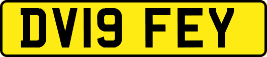 DV19FEY