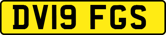 DV19FGS