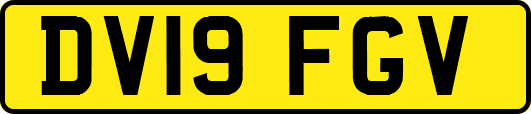 DV19FGV