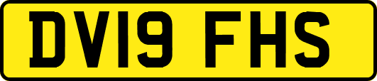 DV19FHS