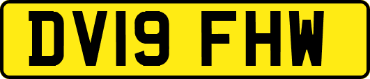 DV19FHW