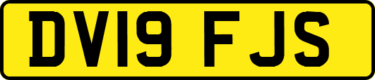 DV19FJS