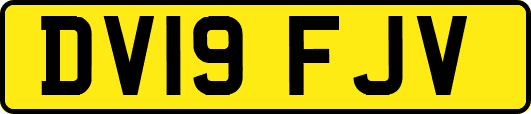 DV19FJV
