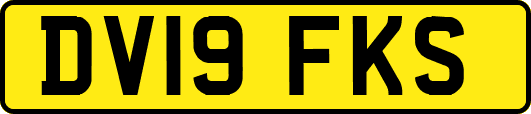 DV19FKS