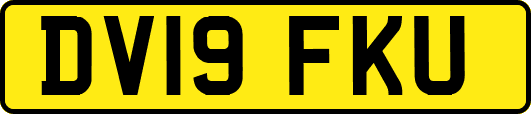 DV19FKU