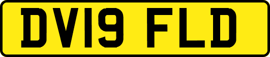 DV19FLD