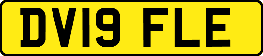 DV19FLE