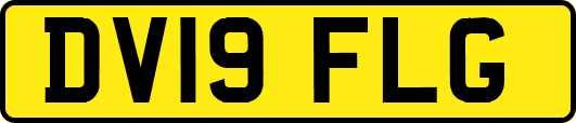 DV19FLG