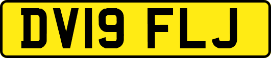 DV19FLJ