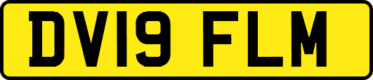 DV19FLM