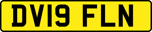 DV19FLN