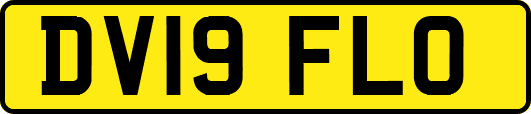 DV19FLO