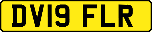 DV19FLR