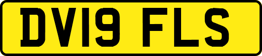 DV19FLS