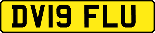 DV19FLU