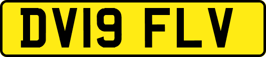 DV19FLV