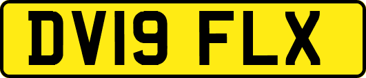 DV19FLX