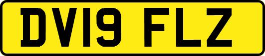 DV19FLZ