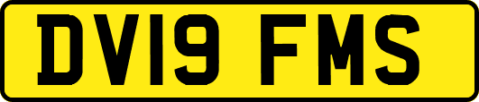 DV19FMS