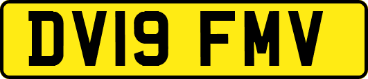 DV19FMV