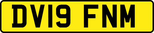 DV19FNM