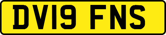 DV19FNS