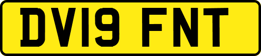 DV19FNT
