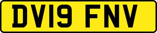 DV19FNV
