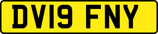 DV19FNY
