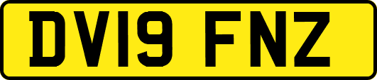 DV19FNZ