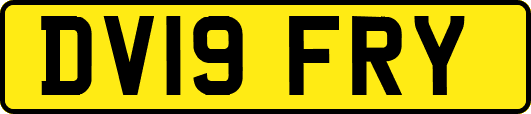 DV19FRY