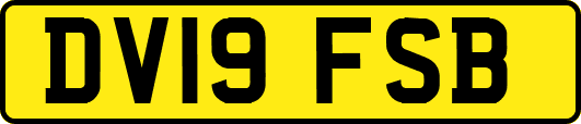 DV19FSB