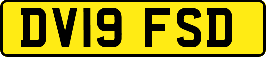 DV19FSD