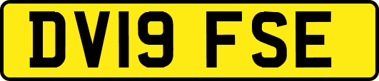 DV19FSE