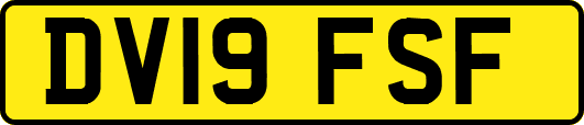 DV19FSF