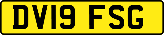 DV19FSG
