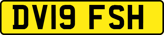 DV19FSH