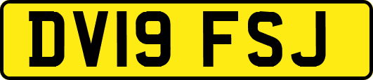 DV19FSJ