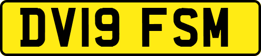 DV19FSM