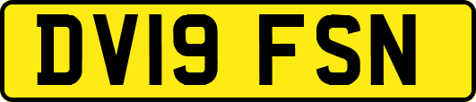 DV19FSN