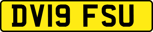 DV19FSU